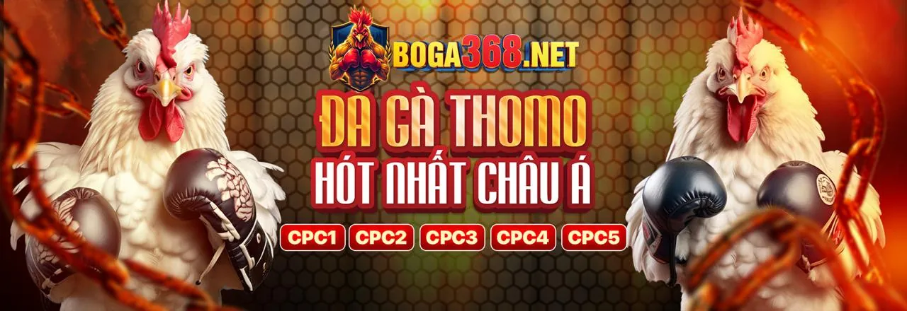 Đa dạng trận đấu đá gà