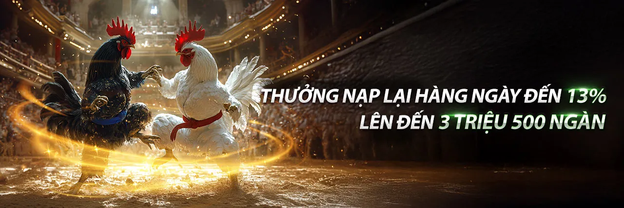 Hình ảnh chính hỗ trợ khách hàng rikvip login