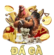 Live stream đá gà chất lượng cao