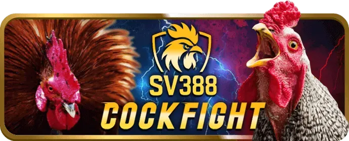 Mẹo cá cược thể thao rikvip login